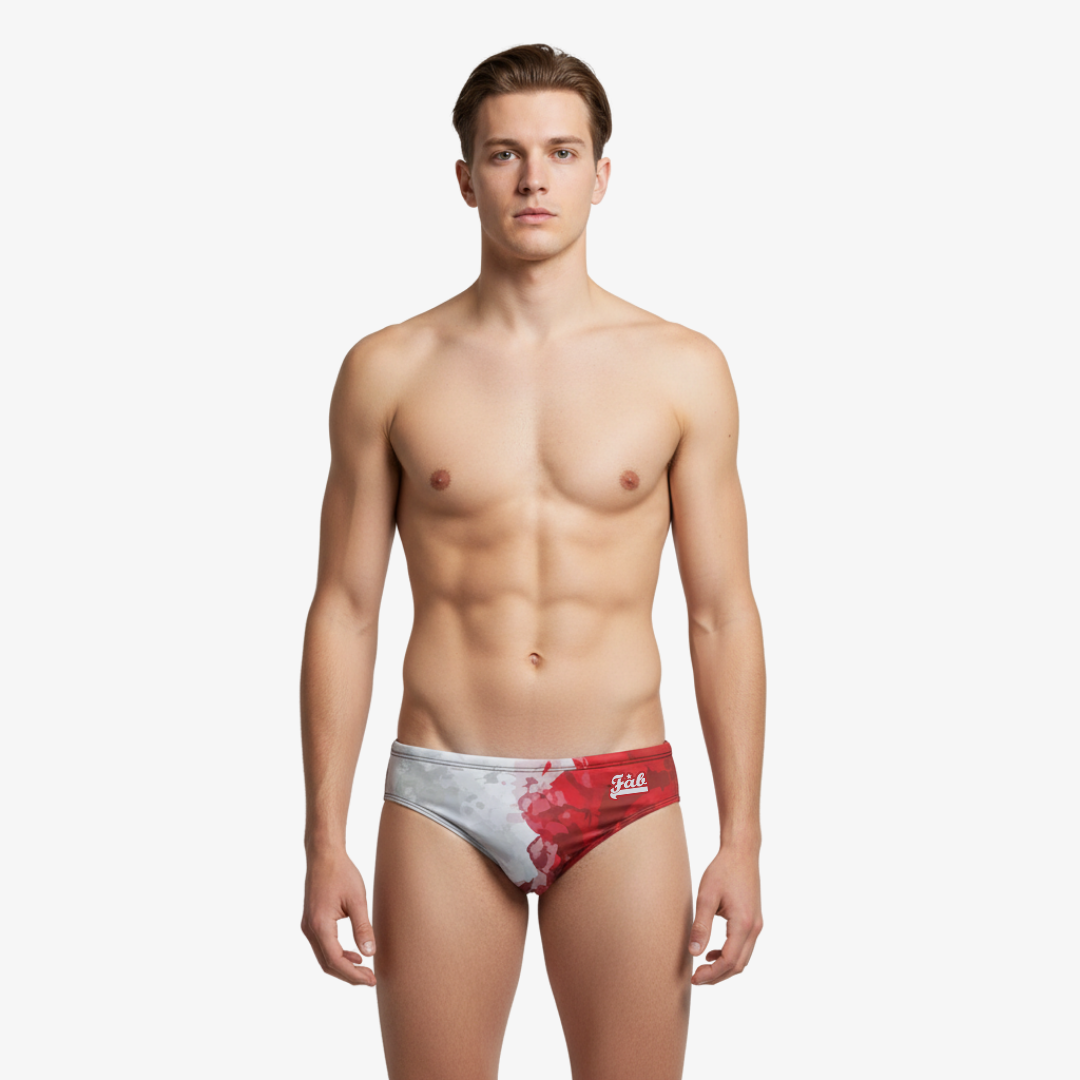 Japan Brief